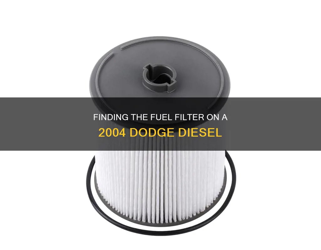where is the fuel filter on 2004 dodge disel