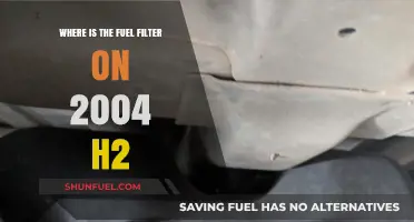 Locating the Fuel Filter in Your 2004 H2