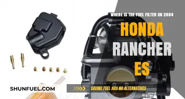 Locating the Fuel Filter on a 2004 Honda Rancher ES