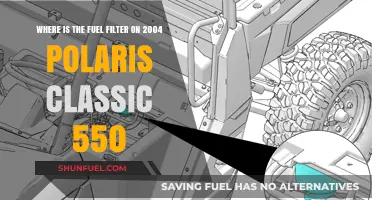 Polaris Classic 550: Fuel Filter Location and Access