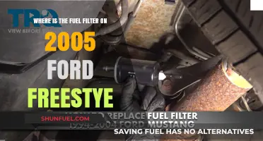 Locating the Fuel Filter in a 2005 Ford Freestyles
