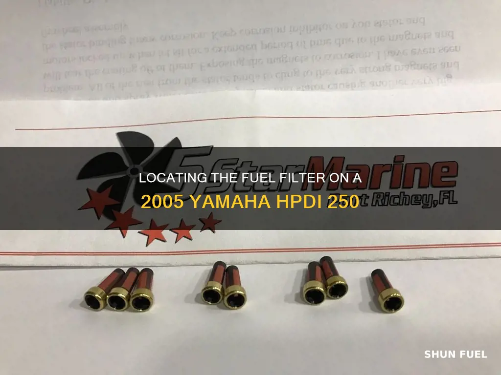 where is the fuel filter on 2005 yamaha hpdi 250