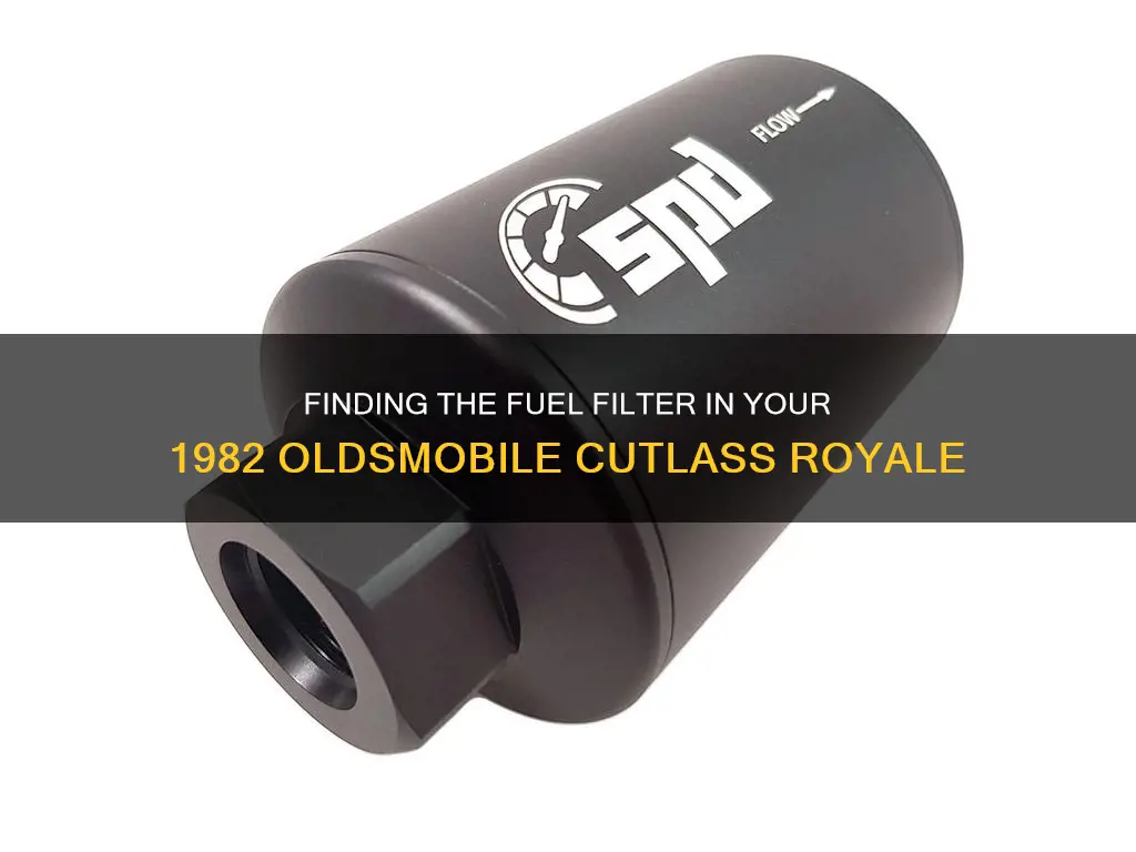 where is the fuel filter on 82 old royale