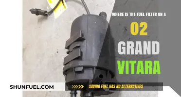 Grand Vitara Fuel Filter: Location and Access