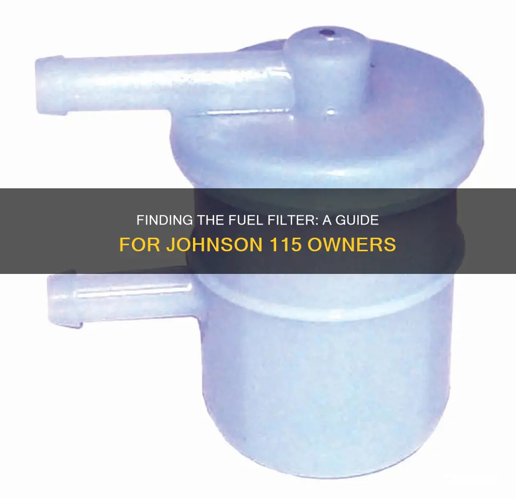 where is the fuel filter on a 115 johnson