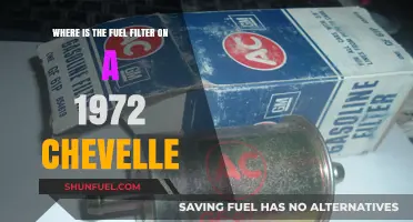 Chevelle Fuel Filter: Location and Replacement Guide