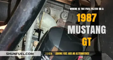 Locating the Fuel Filter in a 1987 Mustang GT