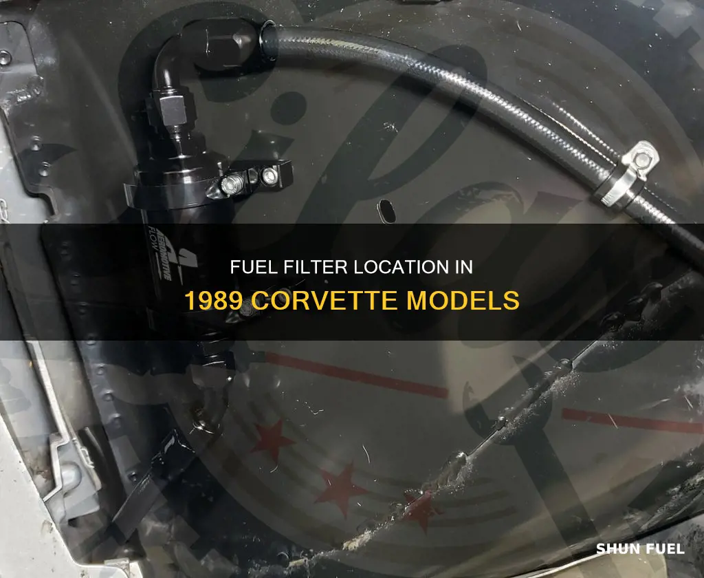 where is the fuel filter on a 1989 corvette
