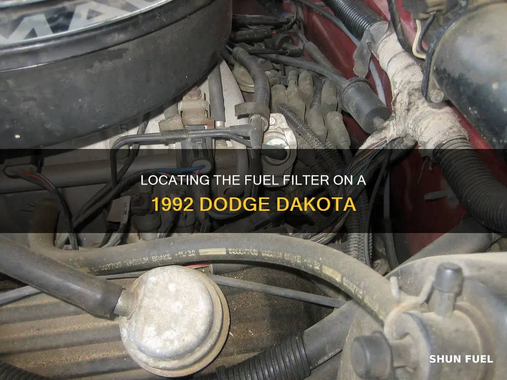 where is the fuel filter on a 1992 dodge dakota