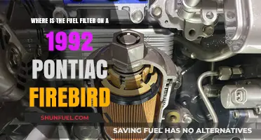 Locating the Fuel Filter in a 1992 Pontiac Firebird