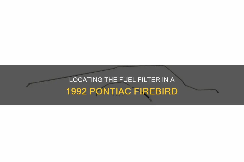 where is the fuel filter on a 1992 pontiac firebird