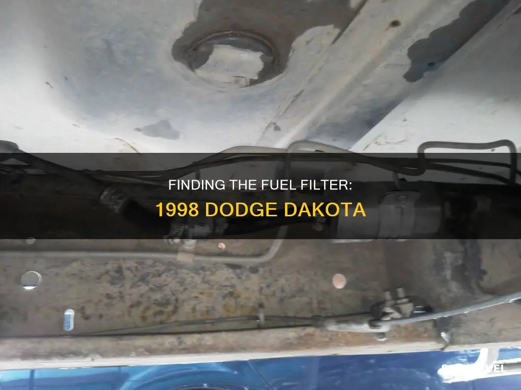 where is the fuel filter on a 1998 dodge dakota