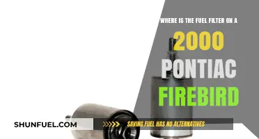 Locating the Fuel Filter in a 2000 Pontiac Firebird