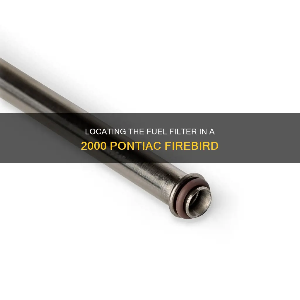 where is the fuel filter on a 2000 pontiac firebird