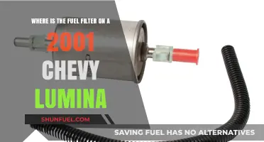 Lumina Fuel Filter: Where is it Located?