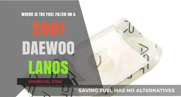 Daewoo Lanos Fuel Filter: Location and Access Guide