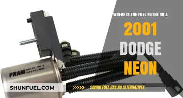 Finding the Fuel Filter in a 2001 Dodge Neon