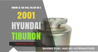 Locating the Fuel Filter in a 2001 Hyundai Tiburon