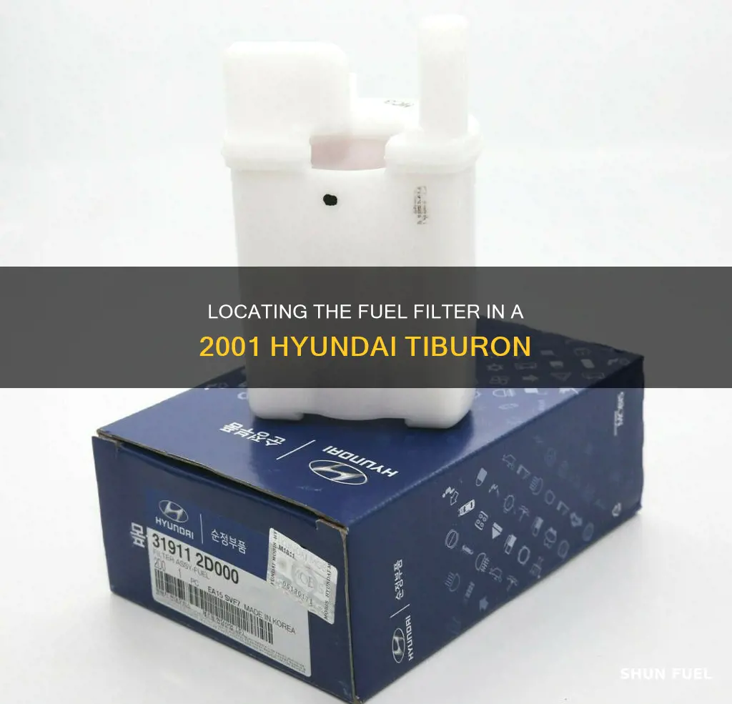 where is the fuel filter on a 2001 hyundai tiburon