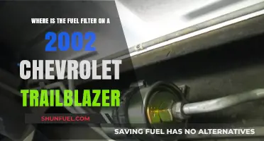 Fuel Filter Location in 2002 Chevrolet Trailblazer