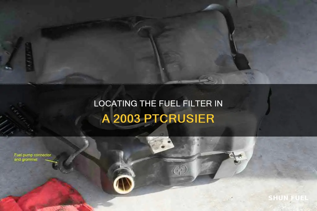 where is the fuel filter on a 2003 ptcruser