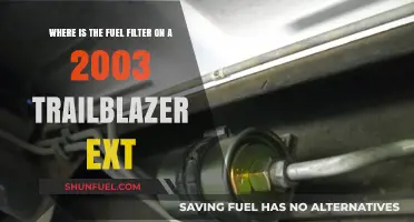 Fuel Filter Location in 2003 Trailblazer EXT