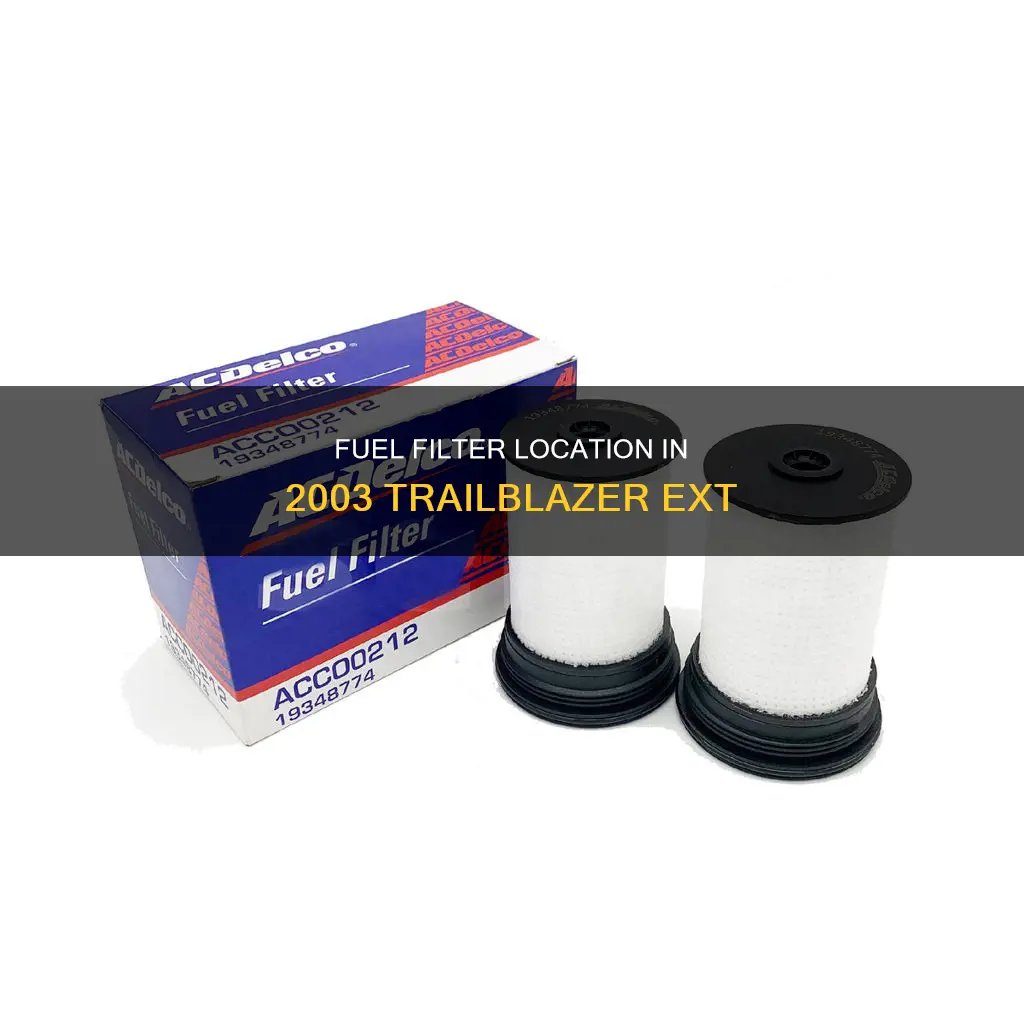 where is the fuel filter on a 2003 trailblazer ext