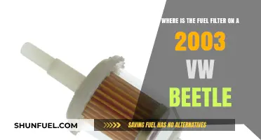 VW Beetle Fuel Filter: Location and Access