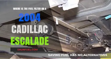 Cadillac Escalade Fuel Filter: Location and Access