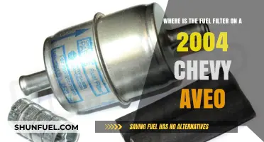 Finding the Fuel Filter in Your 2004 Chevy Aveo