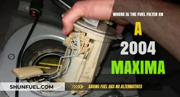 Maxima Fuel Filter: Location and Replacement Guide