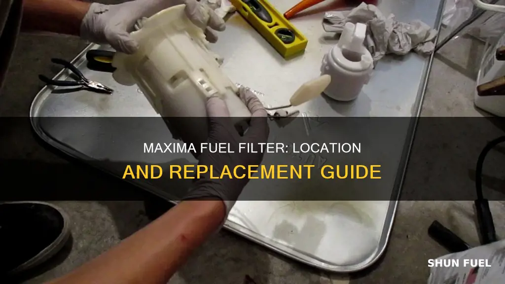 where is the fuel filter on a 2004 maxima