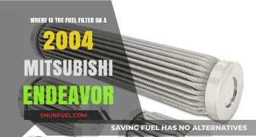 Fuel Filter Location in Mitsubishi Endeavor 2004 Models