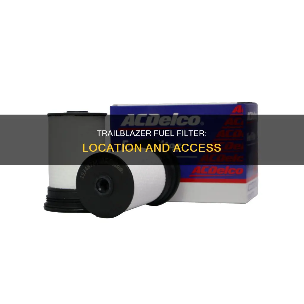 where is the fuel filter on a 2004 trailblazer