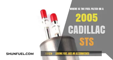 Fuel Filter Location Guide for 2005 Cadillac STS