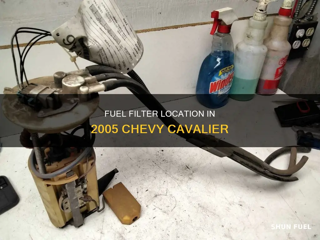 where is the fuel filter on a 2005 chevy cavalier