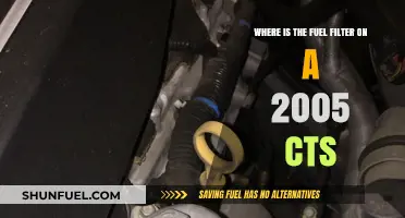 CTS 2005: Locating the Fuel Filter