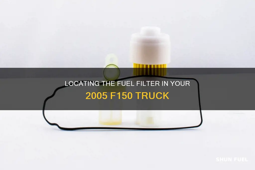 where is the fuel filter on a 2005 f150