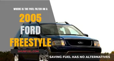 Ford Freestyle Fuel Filter: Location and Access Guide