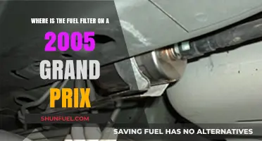 Grand Prix Fuel Filter: Location and Access Guide