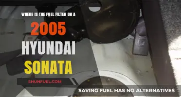 Hyundai Sonata Fuel Filter: Location and Access