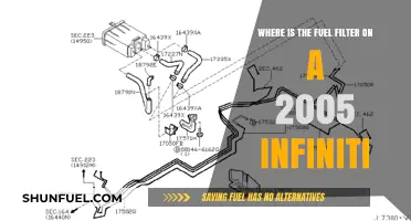 Fuel Filter Location for 2005 Infiniti Models