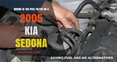 Kia Sedona 2005: Fuel Filter Location and Access