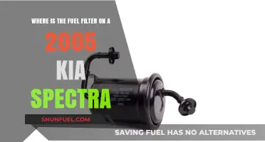 Kia Spectra Fuel Filter: Location and Access