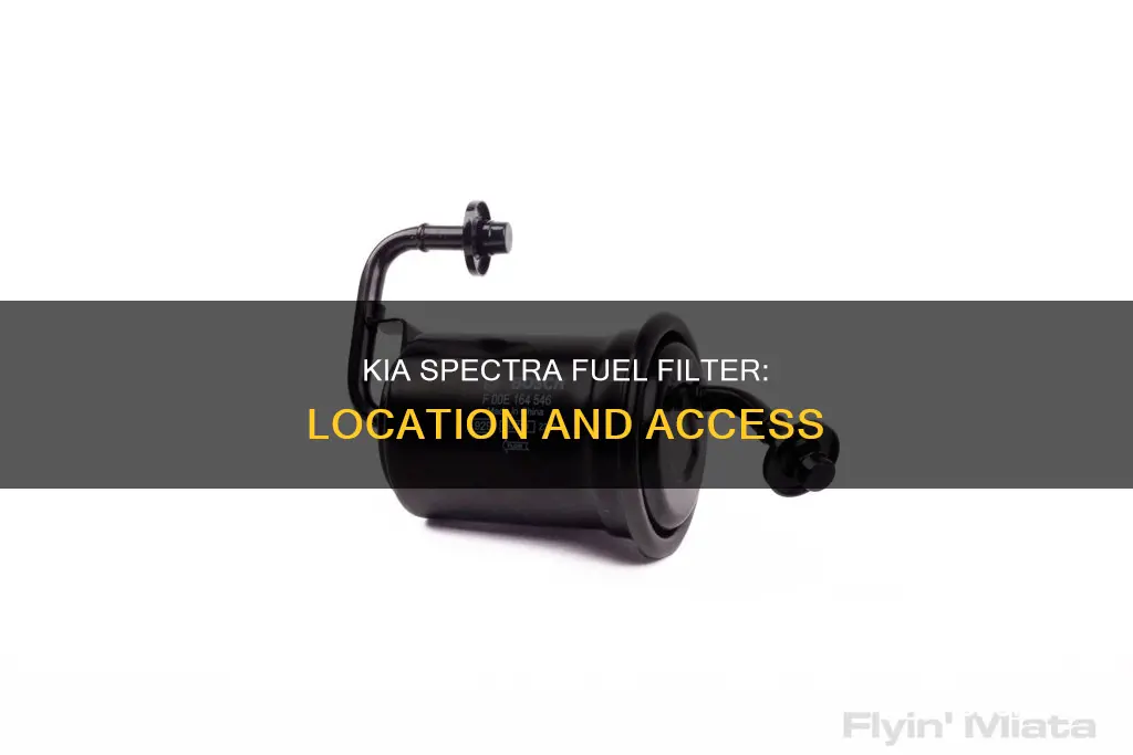 where is the fuel filter on a 2005 kia spectra