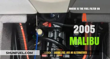 Malibu Maintenance: Locating the Fuel Filter