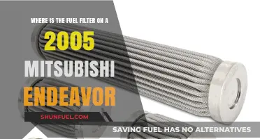 Fuel Filter Location in 2005 Mitsubishi Endeavor