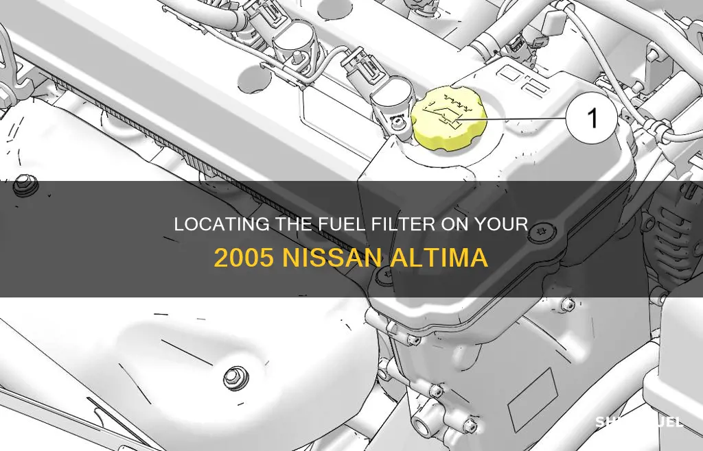 where is the fuel filter on a 2005 nissan altima