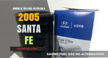 Santa Fe Fuel Filter: Location and Access