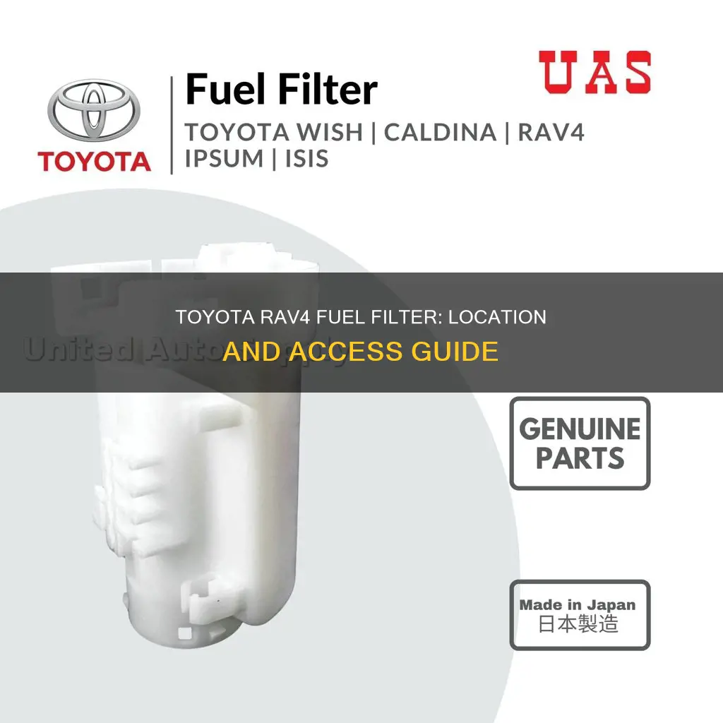 where is the fuel filter on a 2005 toyota rav4